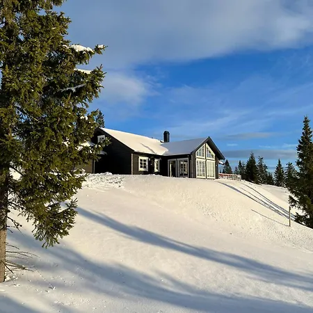 Modern Mountain Cabin With Panoramic Views *
