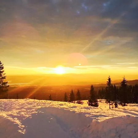 Modern Mountain Cabin With Panoramic Views Semesterbostad Sjusjoen