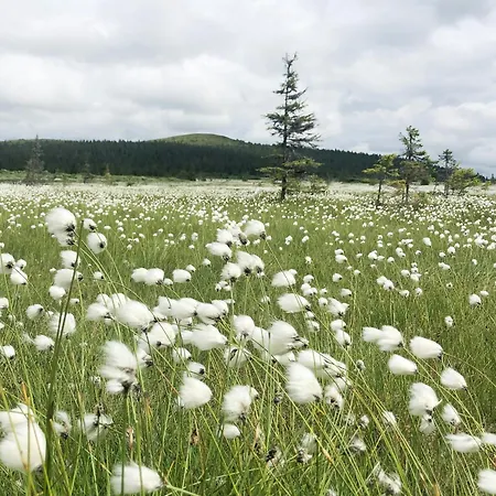 Semesterbostad Modern Mountain Cabin With Panoramic Views Sjusjoen